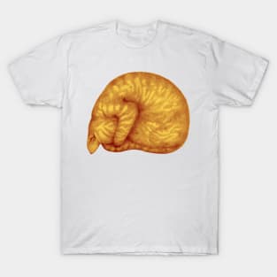 Ginger Introvert T-Shirt